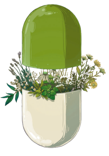 Cápsula botánica — herbolaria y medicina natural